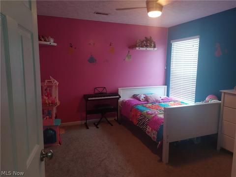 4570 Fields Way, Lorain, OH 44053 photo 19