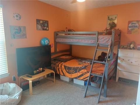 4570 Fields Way, Lorain, OH 44053 photo 20