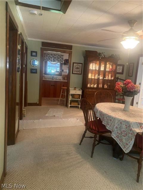 2217 Homewood Ave, Ashtabula, OH 44004 photo 19