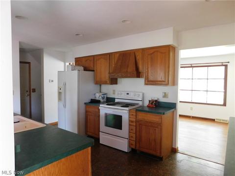 925 Wilder Ave, Elyria, OH 44035 photo 12