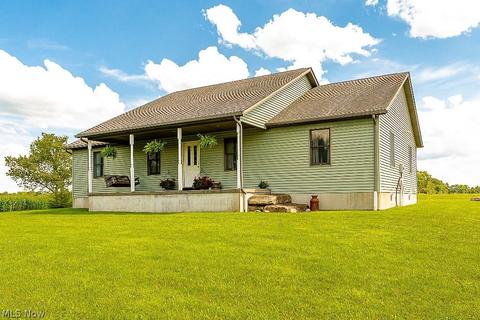 42691 Whitney Rd, Lagrange, OH 44050 photo 3