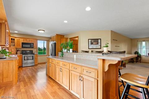 42691 Whitney Rd, Lagrange, OH 44050 photo 10