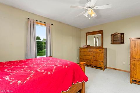 42691 Whitney Rd, Lagrange, OH 44050 photo 20