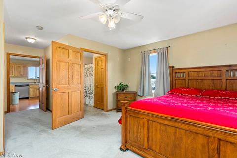 42691 Whitney Rd, Lagrange, OH 44050 photo 19