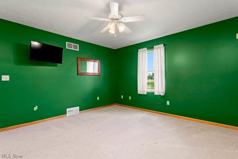 42691 Whitney Rd, Lagrange, OH 44050 photo 16