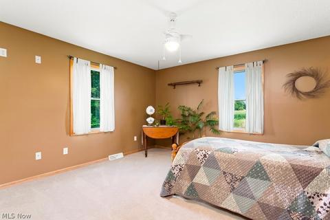 42691 Whitney Rd, Lagrange, OH 44050 photo 13