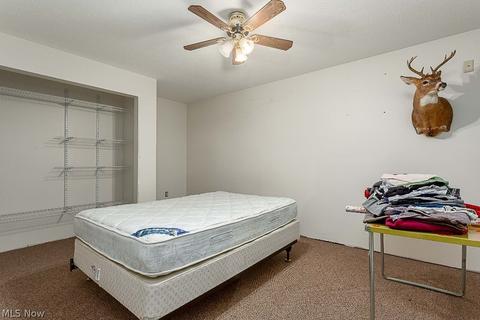 42691 Whitney Rd, Lagrange, OH 44050 photo 27