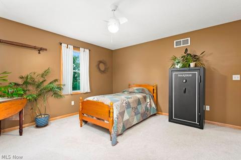 42691 Whitney Rd, Lagrange, OH 44050 photo 14