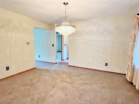 260 Leatherman Rd, Wadsworth, OH 44281 photo 8
