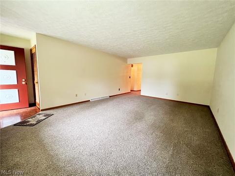 260 Leatherman Rd, Wadsworth, OH 44281 photo 10