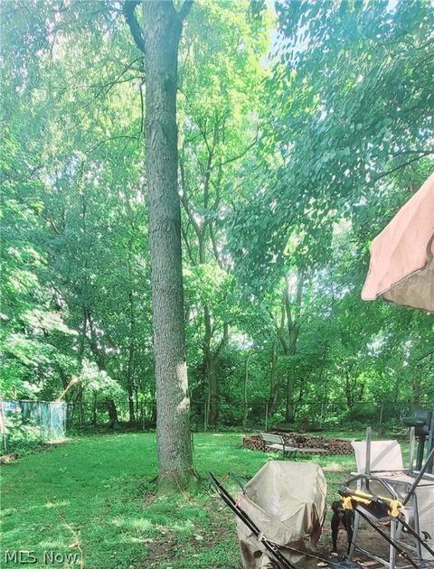 1908 4th St NE, Canton, OH 44704 photo 15