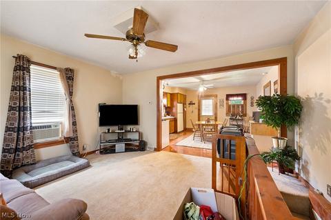 161 Perry St, Struthers, OH 44471 photo 7