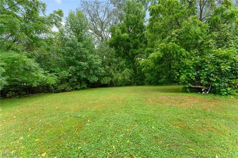 161 Perry St, Struthers, OH 44471 photo 18