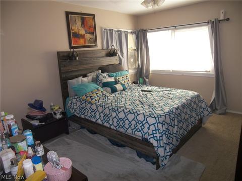 141 E 192nd St, Euclid, OH 44119 photo 13
