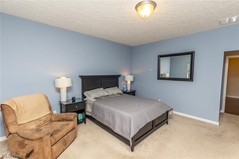 39094 Case Rd, Avon, OH 44011 photo 19