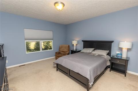 39094 Case Rd, Avon, OH 44011 photo 18