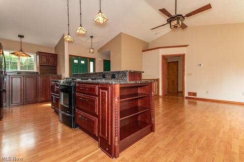 9780 Springhouse Ln E, Concord, OH 44060 photo 5
