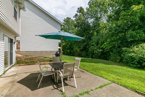 9780 Springhouse Ln E, Concord, OH 44060 photo 30