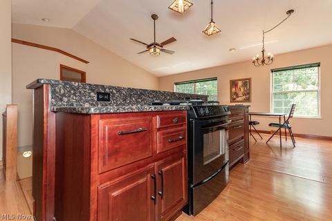 9780 Springhouse Ln E, Concord, OH 44060 photo 10
