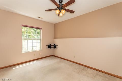 9780 Springhouse Ln E, Concord, OH 44060 photo 29
