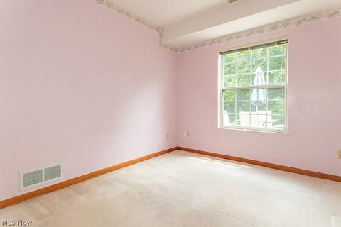9780 Springhouse Ln E, Concord, OH 44060 photo 25