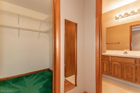 9780 Springhouse Ln E, Concord, OH 44060 photo 19