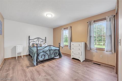 8533 Freedom Rd, Windham, OH 44288 photo 18