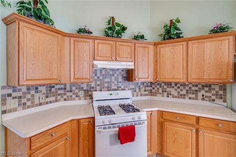 38365 Brighton Path, Willoughby, OH 44094 photo 12