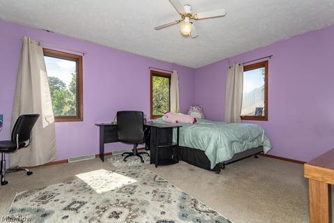 5875 Sequoia Ct, Mentor On The Lake, OH 44060 photo 18