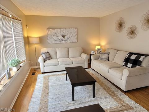 290 Xavier St, Elyria, OH 44035 photo 4
