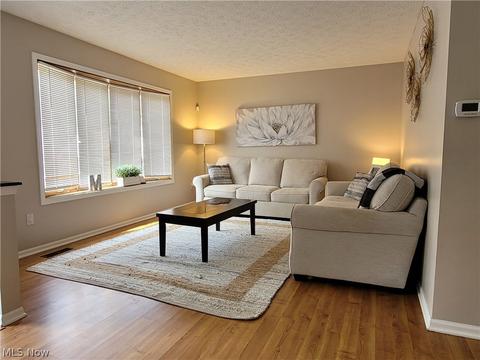 290 Xavier St, Elyria, OH 44035 photo 5