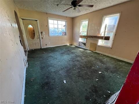4841 Mckinley Ave, Ashtabula, OH 44004 photo 5