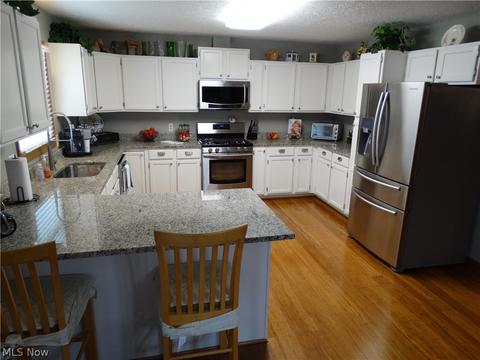 4593 Webb Rd, Perry, OH 44081 photo 3