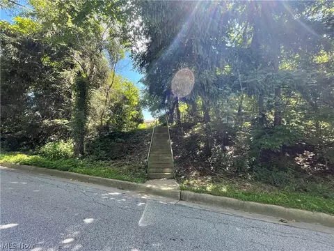 23 Springdale Ave, Wheeling, WV 26003 photo 22