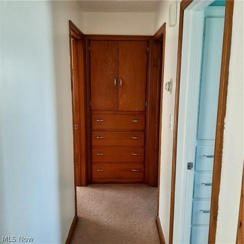 223 Wilson St, Struthers, OH 44471 photo 18