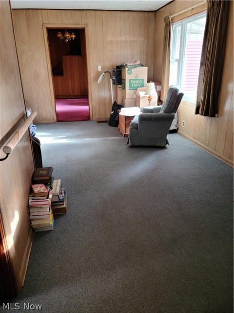 108 2nd, Scio, OH 43988 photo 31