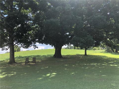 39998 Smith County Rd, Flushing, OH 43977 photo 25