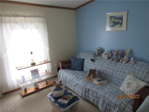 1724 Bridge St, Dresden, OH 43821 photo 14