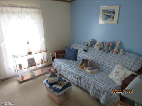 1724 Bridge St, Dresden, OH 43821 photo 13