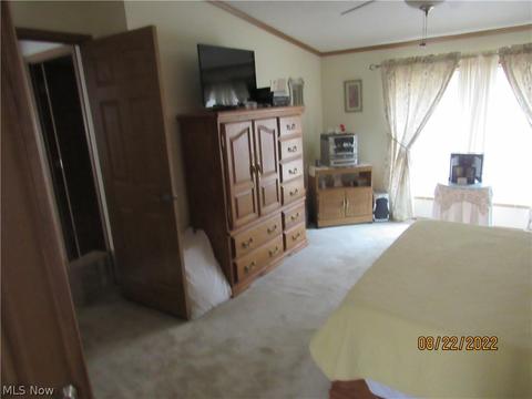 1724 Bridge St, Dresden, OH 43821 photo 20