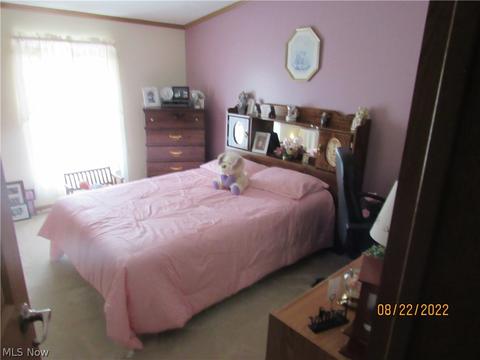 1724 Bridge St, Dresden, OH 43821 photo 15