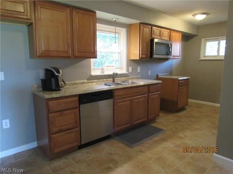 314 Cherry Ln, Seven Hills, OH 44131 photo 7