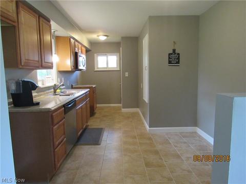 314 Cherry Ln, Seven Hills, OH 44131 photo 6