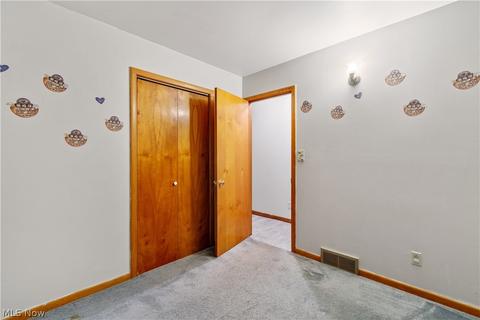 9966 Beech Dr, Wadsworth, OH 44281 photo 19