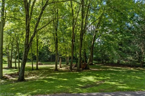 9966 Beech Dr, Wadsworth, OH 44281 photo 24