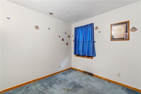 9966 Beech Dr, Wadsworth, OH 44281 photo 18