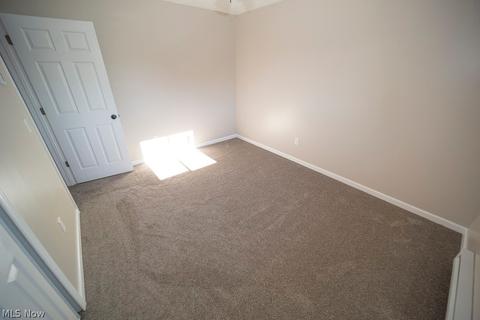 42038 Meadow Ln, Lagrange, OH 44050 photo 20