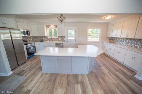 42038 Meadow Ln, Lagrange, OH 44050 photo 7