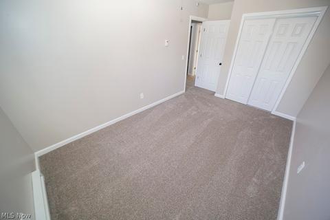42038 Meadow Ln, Lagrange, OH 44050 photo 23