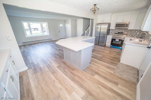 42038 Meadow Ln, Lagrange, OH 44050 photo 8